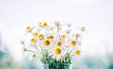 Cultivating the fruits of the Spirit: kindness that heals and restores