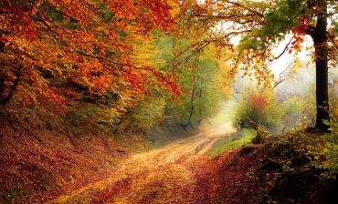 Peace in turbulent times: 12 Bible verses to anchor your soul