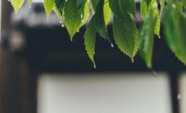 Suffering faith requires a special kind of endurance