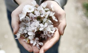 We give because He first gave