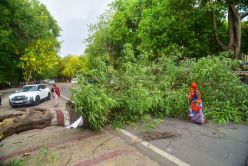Storms kill over 110 in Uttar Pradesh, cyclonic winds rip through districts