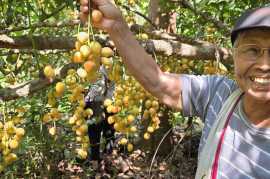 Grow What You Can Eat, Eat What You Grow - A Reflection for World Environment Day