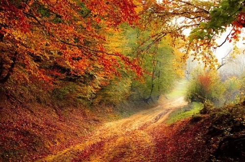Peace in turbulent times: 12 Bible verses to anchor your soul