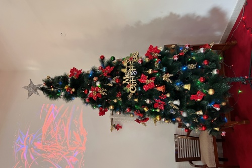 VHP calls on Hindus to boycott Christmas celebrations